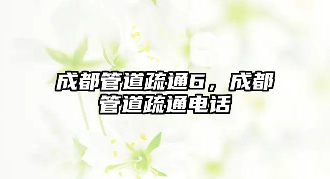 成都管道疏通6，成都管道疏通電話