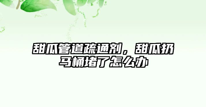 甜瓜管道疏通劑，甜瓜扔馬桶堵了怎么辦